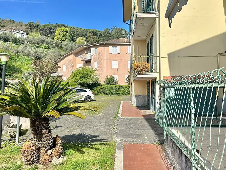 Immagine 9 di Quadrilocale in vendita  a Ameglia