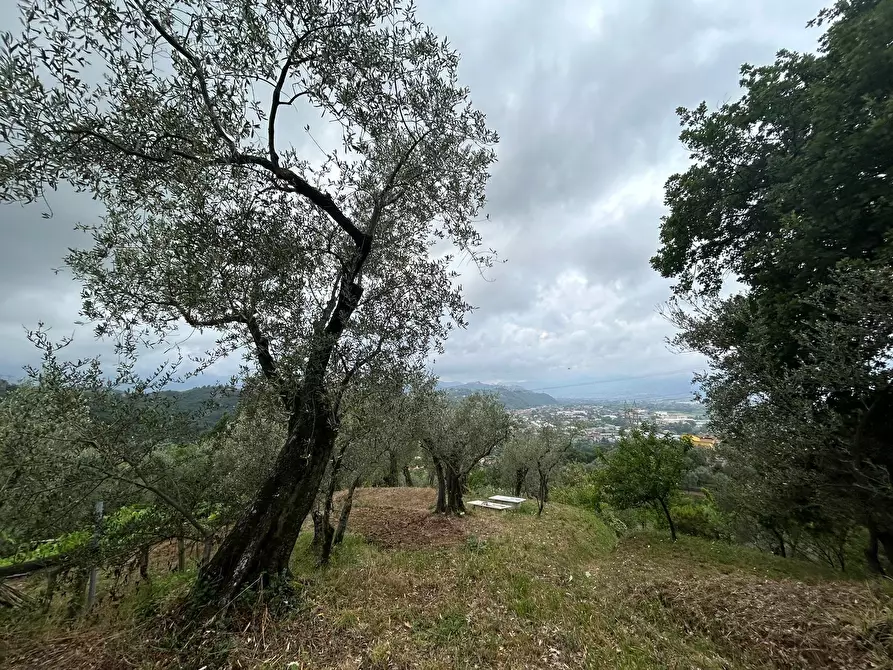 Immagine 19 di Terreno edificabile in vendita  a Arcola