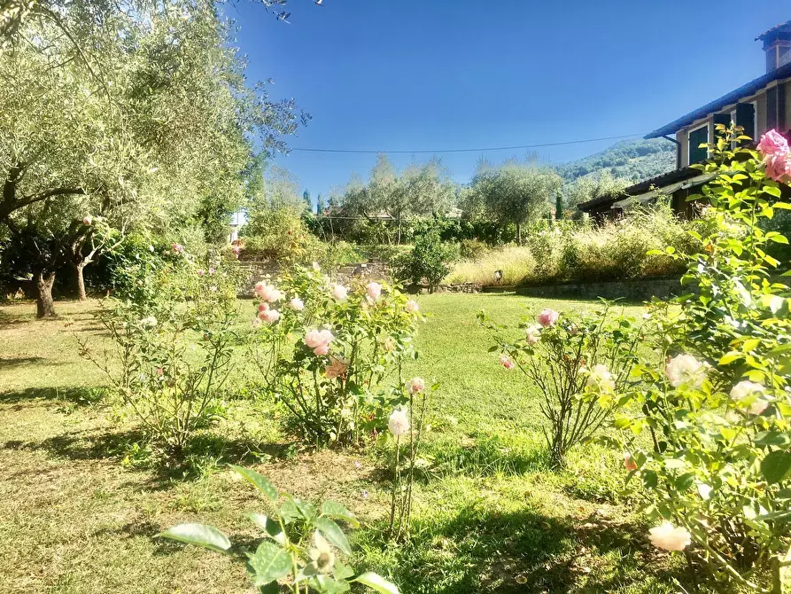 Immagine 26 di Rustico / casale in vendita  a Castelnuovo Magra