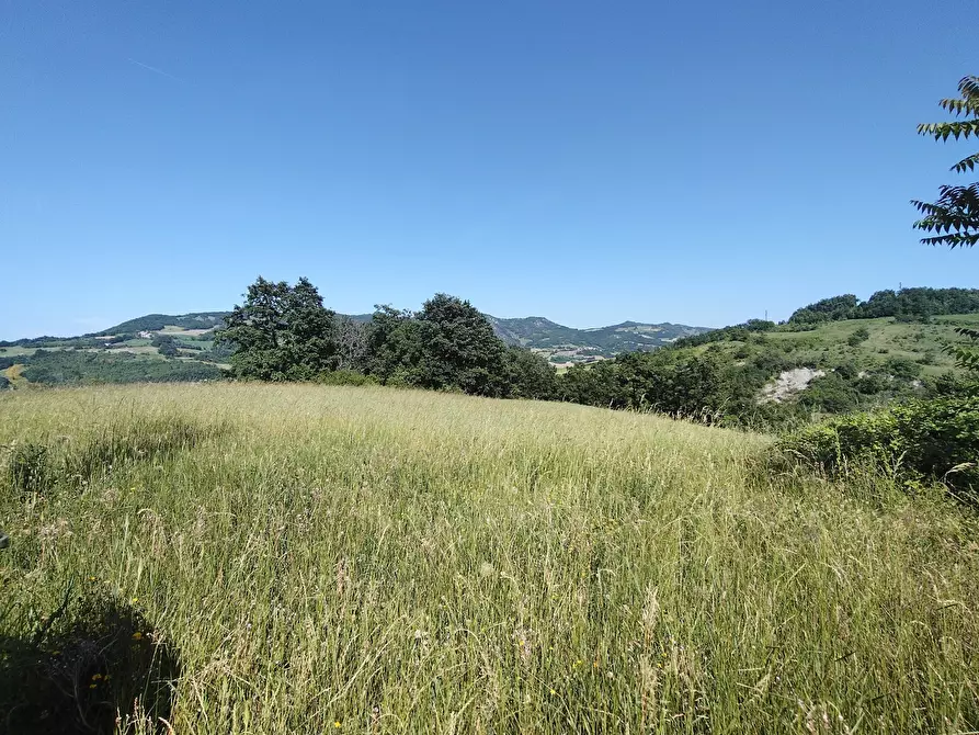 Immagine 28 di Porzione di casa in vendita  in Località Casa Perotti a Alta Val Tidone