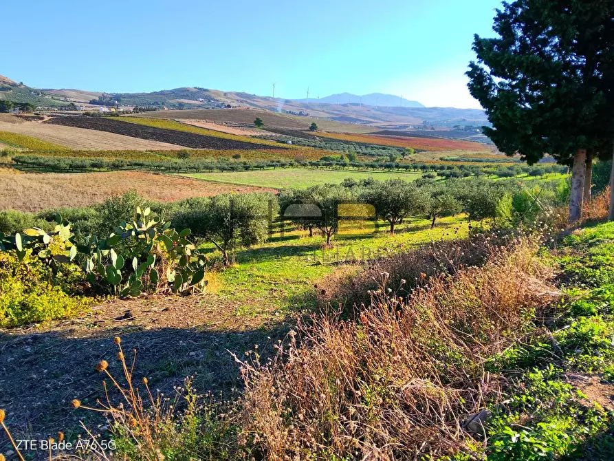 Immagine 3 di Terreno agricolo in vendita  a Valderice