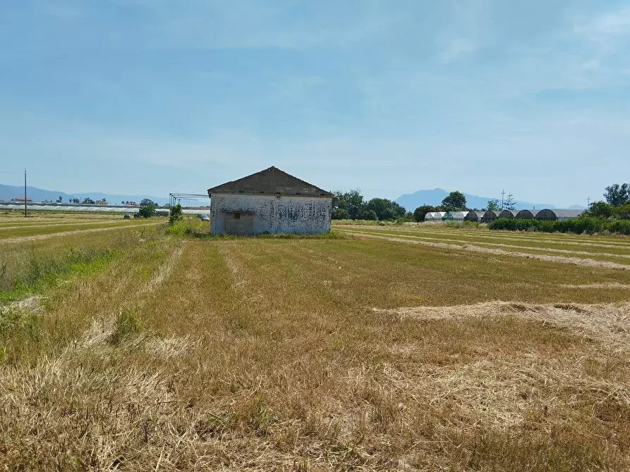 Immagine 1 di Terreno agricolo in vendita  in via bernardo tanucci a Eboli