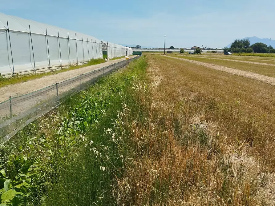 Immagine 8 di Terreno agricolo in vendita  in via bernardo tanucci a Eboli