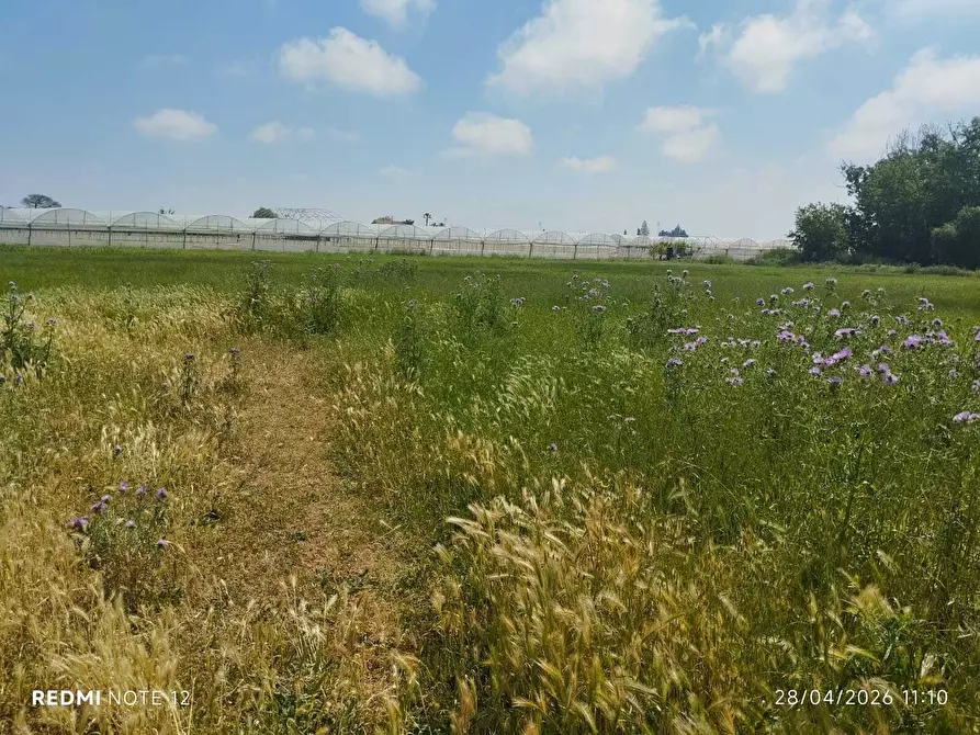 Immagine 19 di Terreno agricolo in vendita  in via bernardo tanucci a Eboli