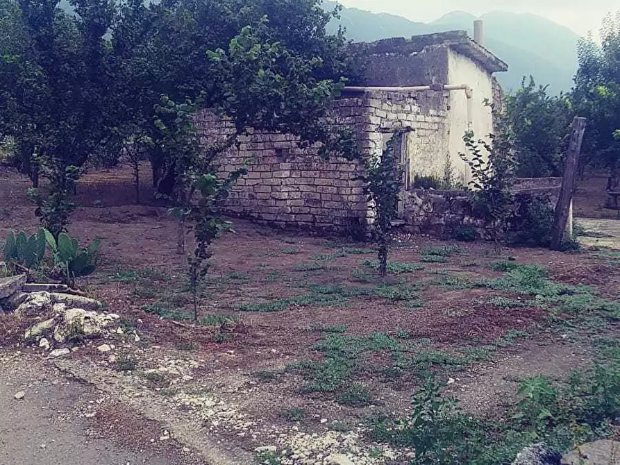 Immagine 1 di Terreno agricolo in vendita  in serrone a Roccarainola