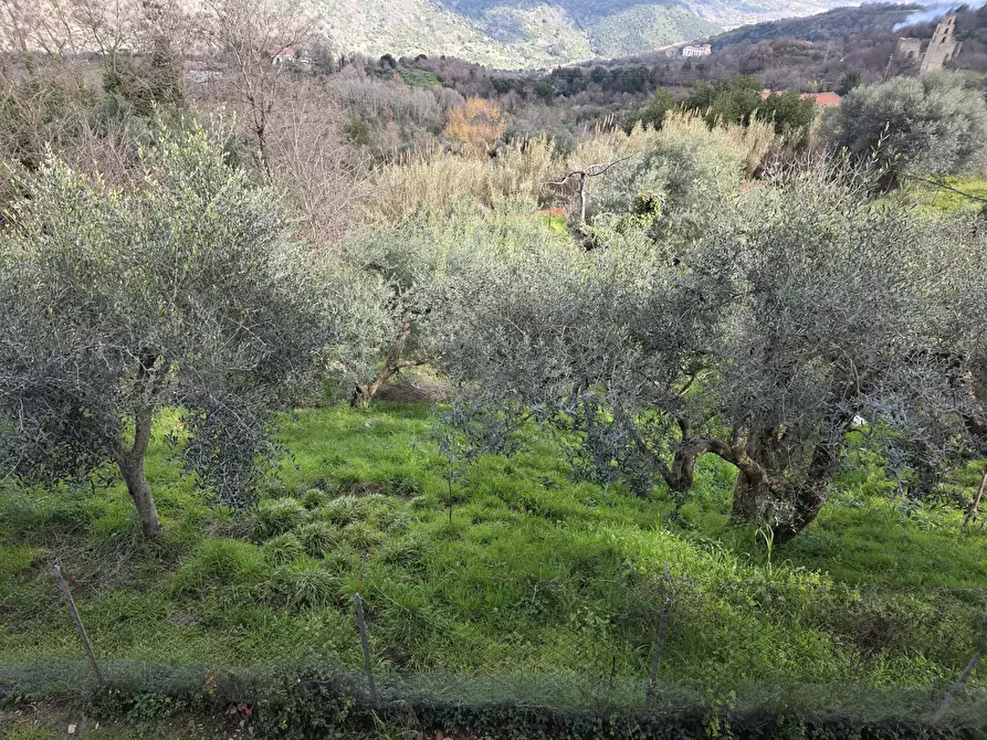 Immagine 3 di Villa in vendita  in via muro 14 a Sessa Cilento