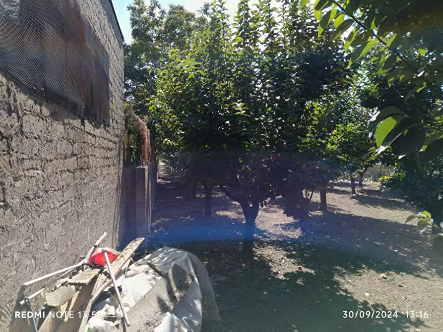 Immagine 4 di Terreno agricolo in vendita  in Via San Maria a Palo 59 a Nocera Inferiore