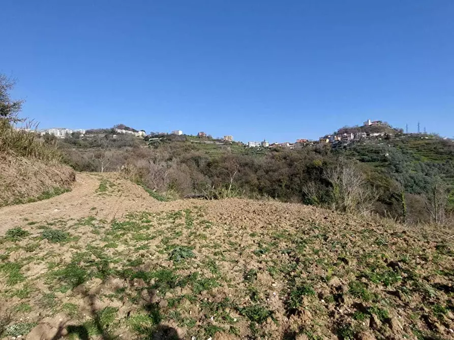 Immagine 8 di Terreno agricolo in vendita  in via casa vicinanza a Salerno