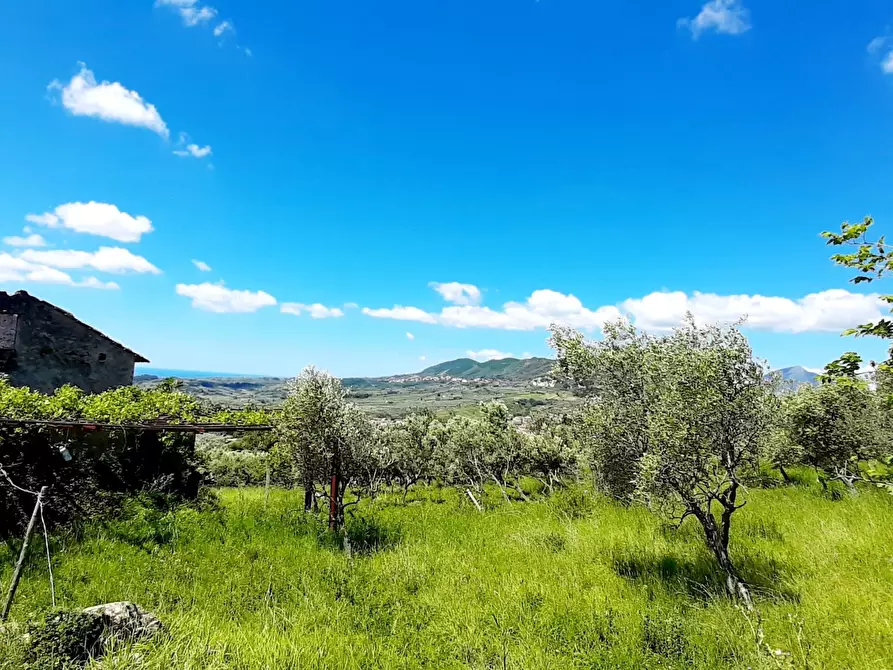 Immagine 14 di Terreno agricolo in vendita  in via contrada maiano a Montecorvino Rovella