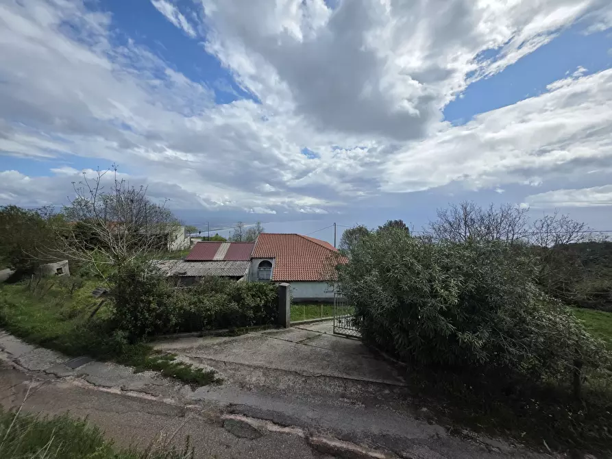 Immagine 3 di Casa semindipendente in vendita  in Contrada Pagliaro a Joppolo