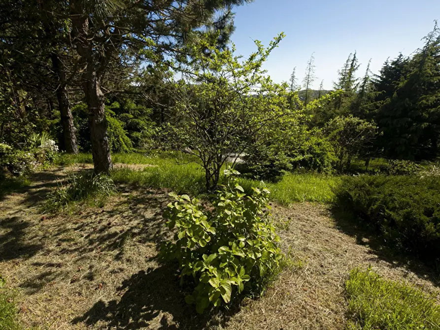 Immagine 46 di Porzione di casa in vendita  a Ceranesi