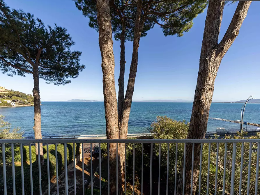 Immagine 1 di Villa in vendita  in Località Pozzarello snc a Monte Argentario