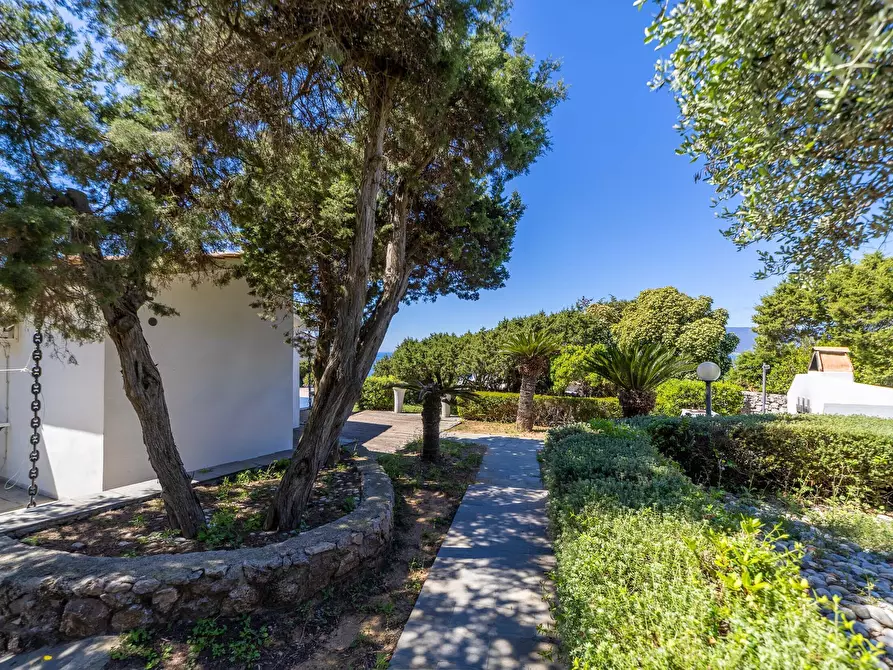 Immagine 17 di Villa in affitto  in Via delle Mimose snc a Orbetello