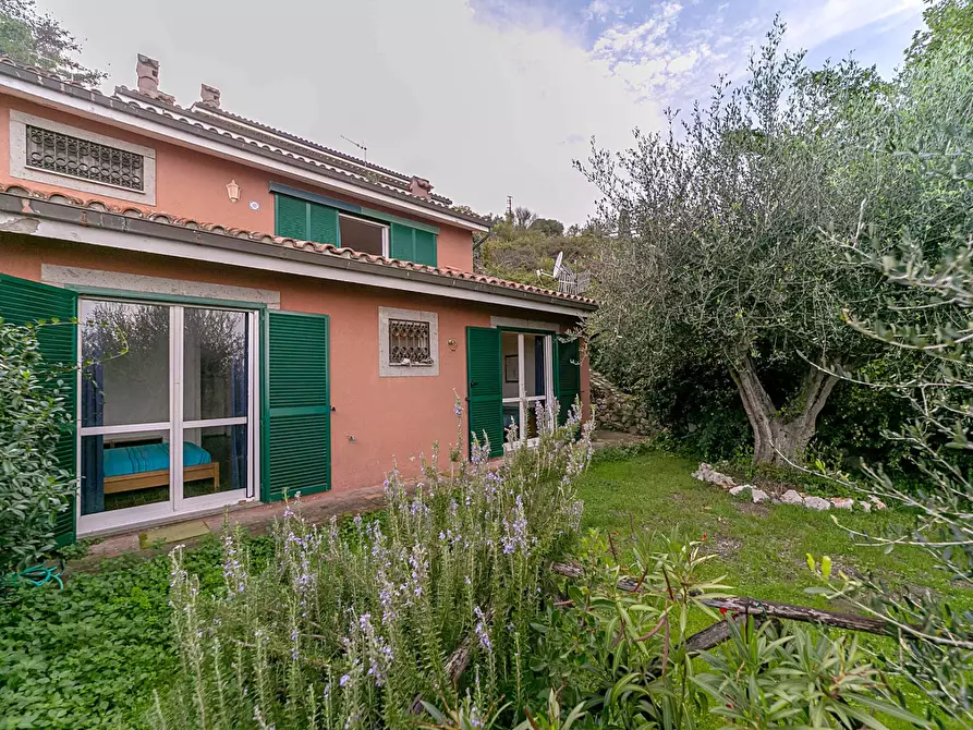 Immagine 3 di Appartamento in vendita  a Monte Argentario