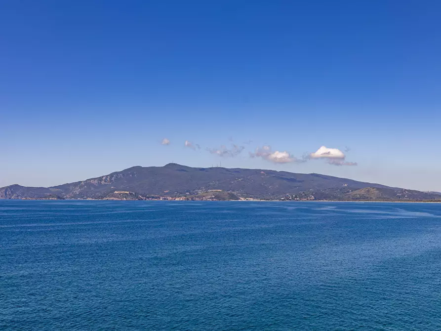 Immagine 23 di Villa in affitto  in Via delle Mimose snc a Orbetello