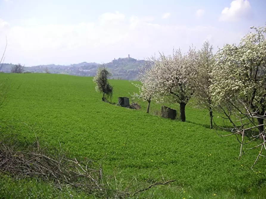 Immagine 16 di Rustico / casale in vendita  in Via Rea Sottana a Murazzano