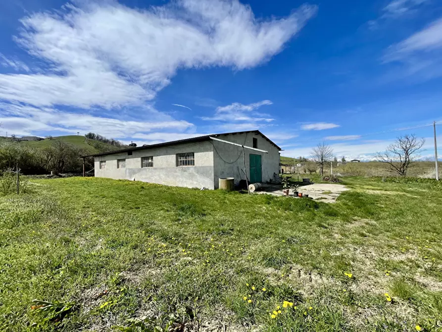 Immagine 7 di Rustico / casale in vendita  in Borgata Biarella 32 a Dogliani