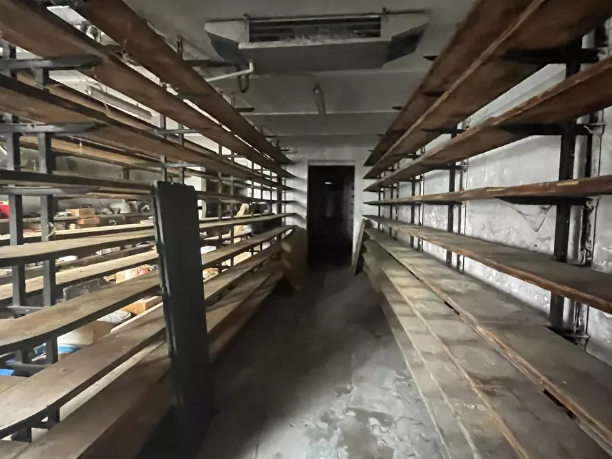 Immagine 11 di Azienda agricola in vendita  in Via al Serraglio 35 a Colorno