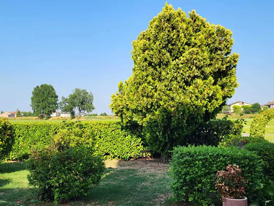 Immagine 7 di Quadrilocale in vendita  in Via Pietro Nenni 38 a Fontanellato