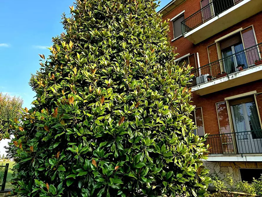 Immagine 3 di Trilocale in vendita  in VIALE DELLE ESPOSIZIONI 83 a Parma