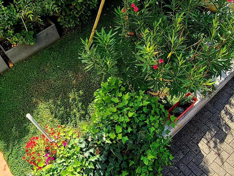 Immagine 27 di Trilocale in vendita  in Via F. Frati 1 a Sissa Trecasali