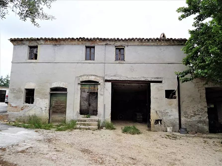 Immagine 2 di Casa bifamiliare in vendita  a Senigallia