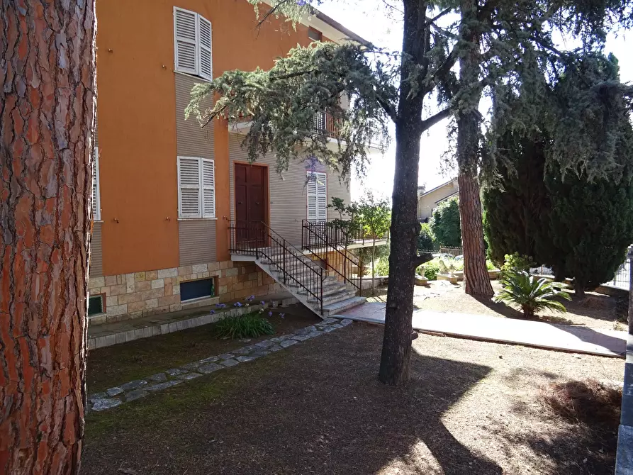 Immagine 4 di Villa in vendita  a Corinaldo