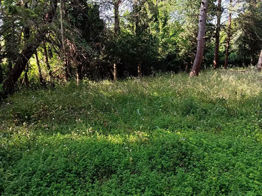 Immagine 10 di Rustico / casale in vendita  a Corinaldo