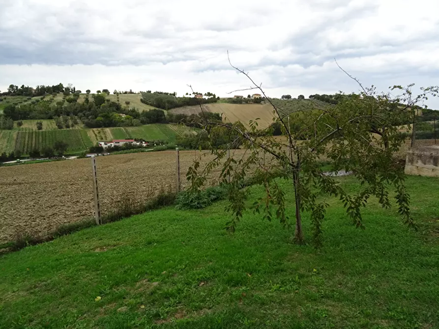 Immagine 45 di Casa indipendente in vendita  a Trecastelli