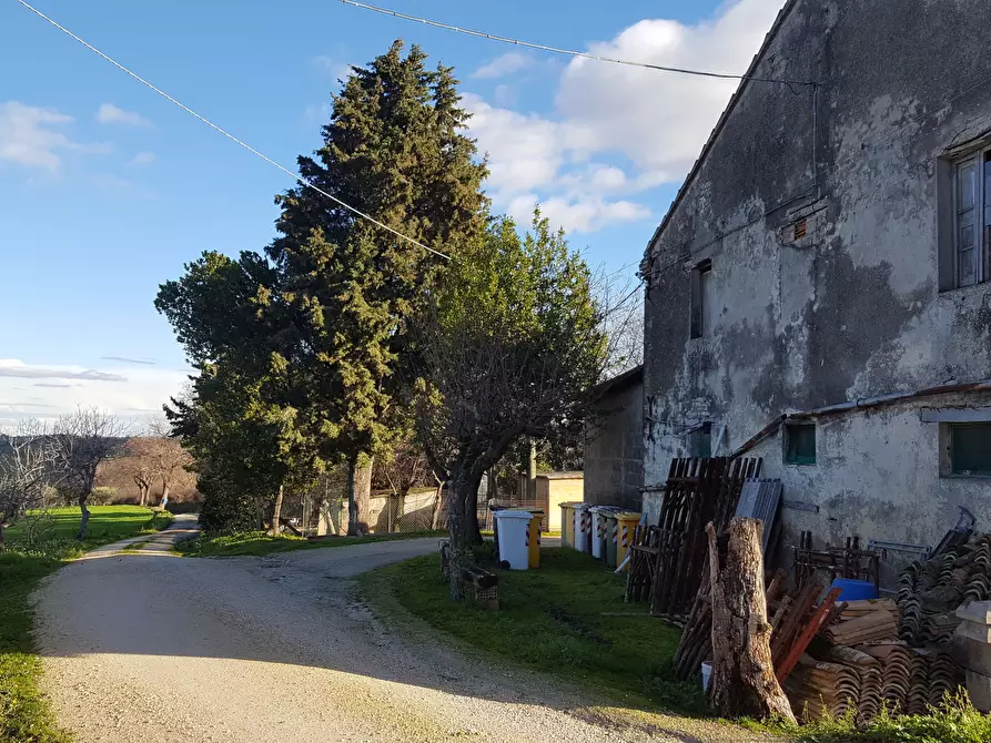 Immagine 2 di Rustico / casale in vendita  a Senigallia