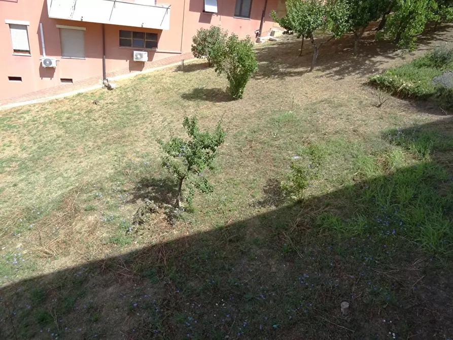 Immagine 21 di Quadrilocale in vendita  a Serra De' Conti