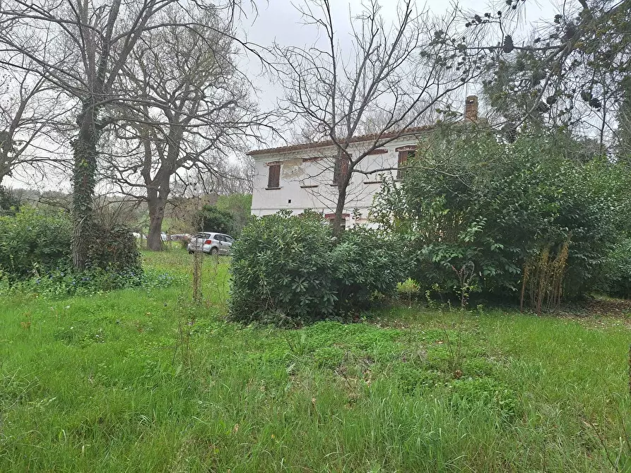 Immagine 5 di Rustico / casale in vendita  a Corinaldo