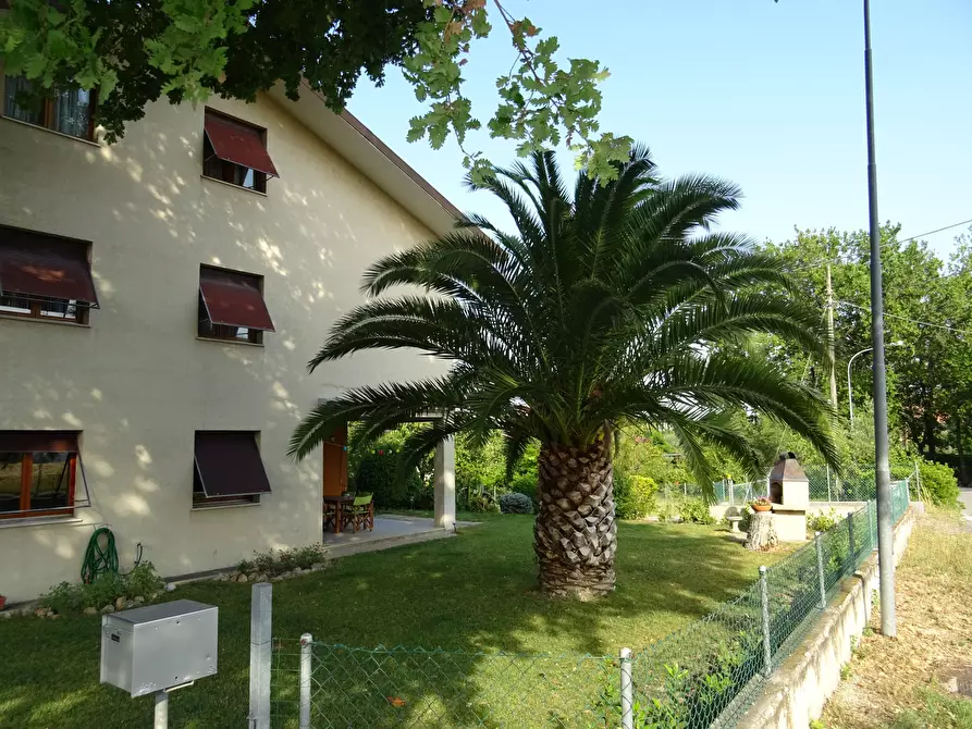 Immagine 2 di Casa bifamiliare in vendita  a Corinaldo