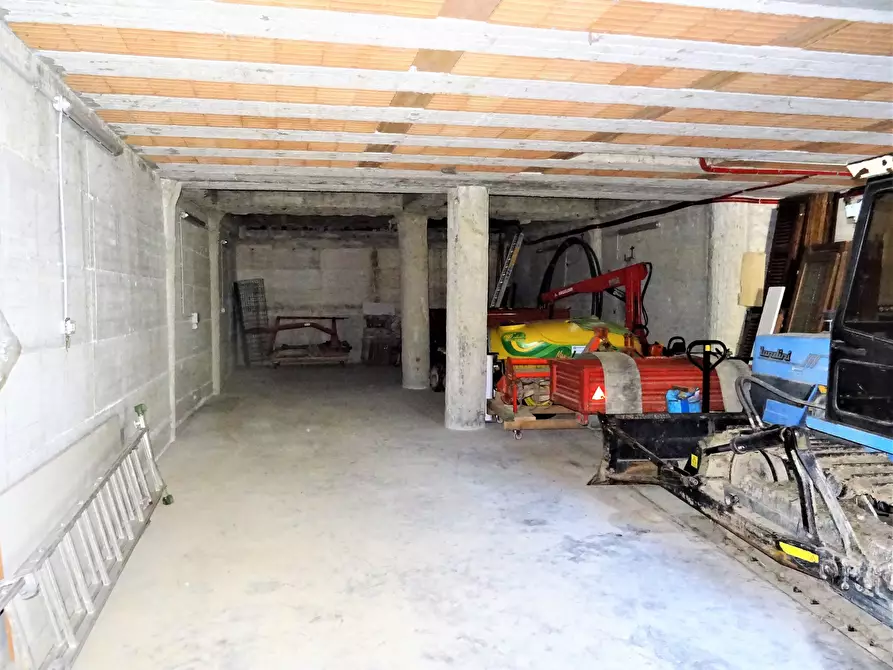 Immagine 5 di Terreno agricolo in vendita  a Senigallia