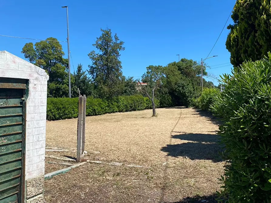 Immagine 33 di Casa bifamiliare in vendita  a Senigallia