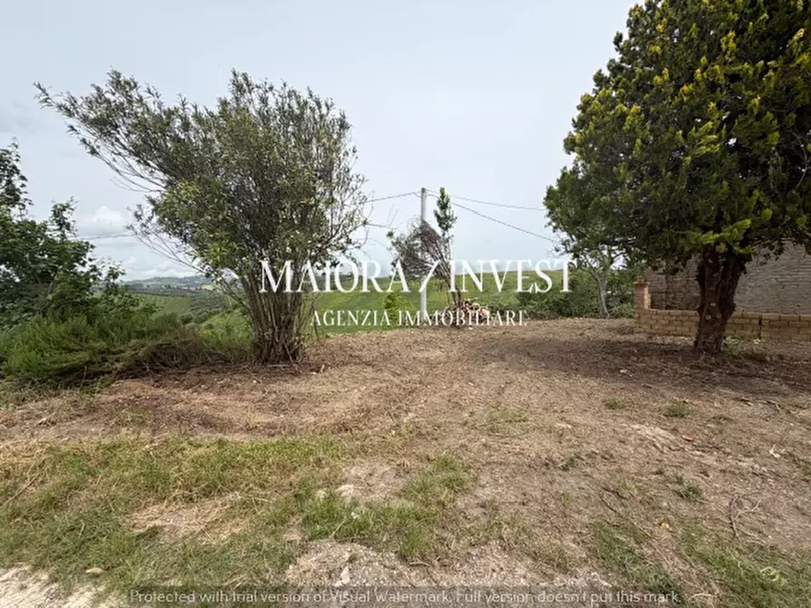 Immagine 7 di Rustico / casale in vendita  a Acquaviva Picena