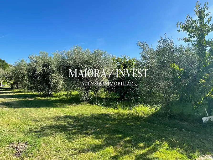 Immagine 7 di Casa indipendente in vendita  in contrada Moglie a Montalto Delle Marche