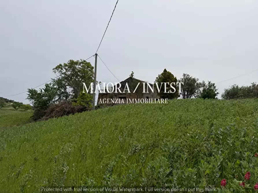 Immagine 15 di Rustico / casale in vendita  a Acquaviva Picena