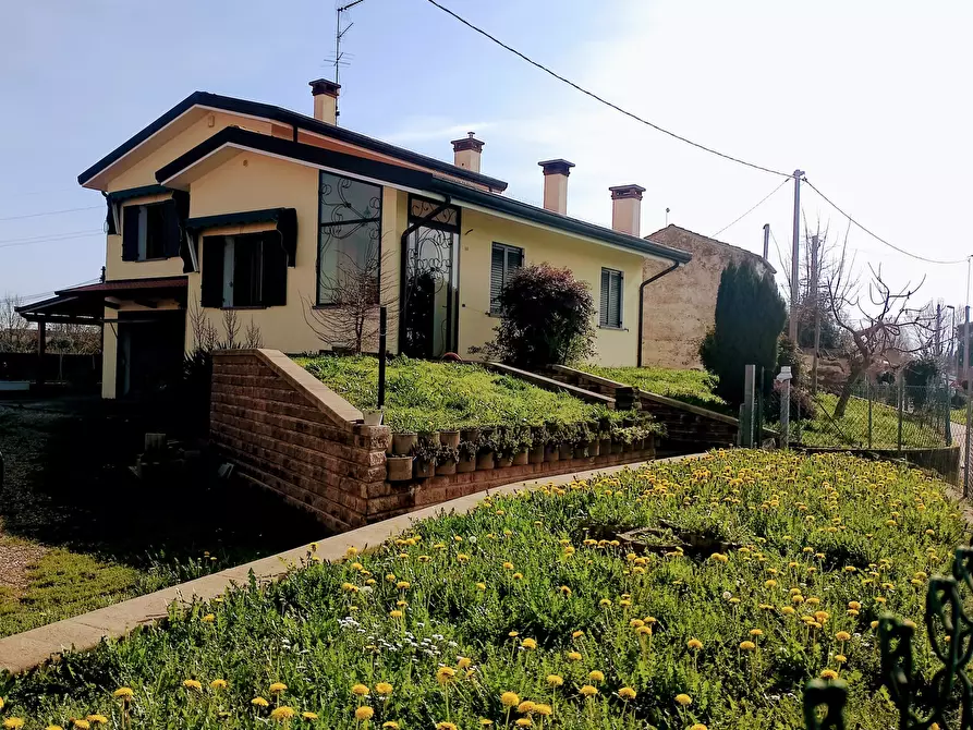 Immagine 1 di Villa in vendita  in Via Pisacane a Rovigo