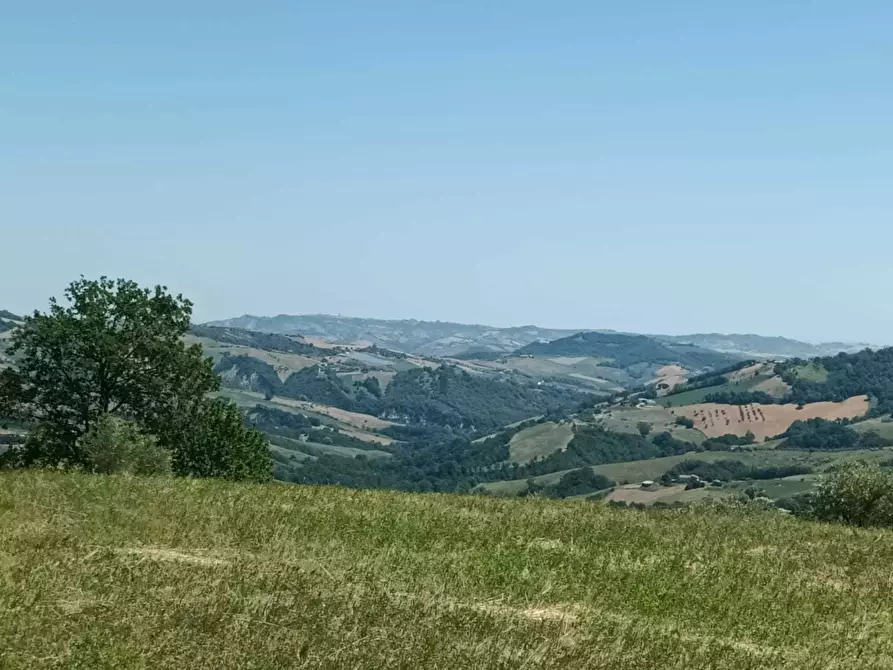 Immagine 17 di Terreno agricolo in vendita  a Farindola