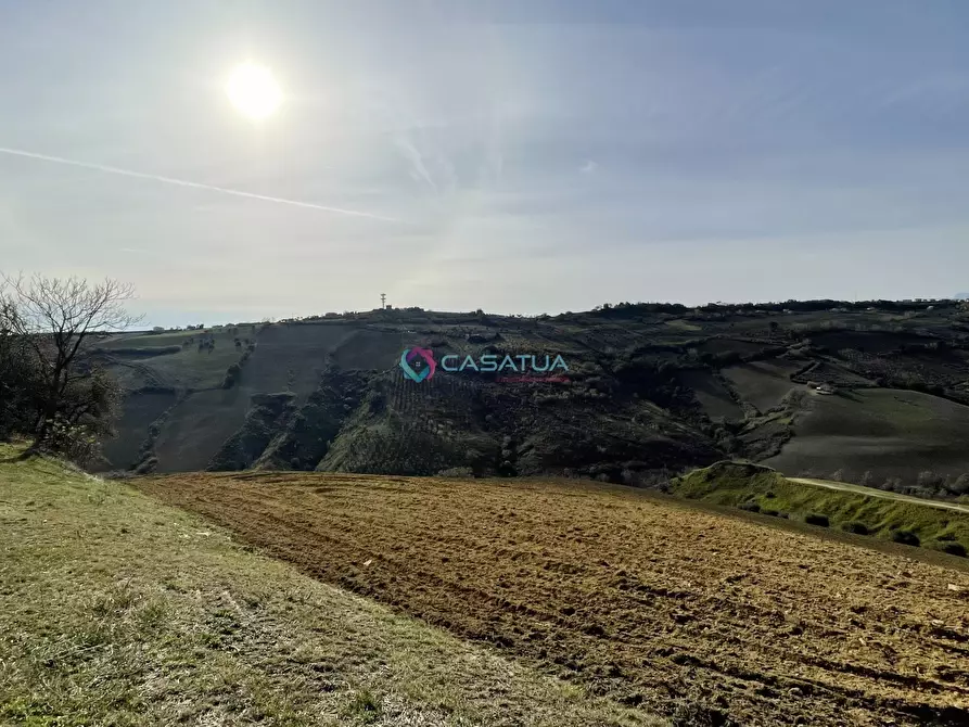 Immagine 44 di Trilocale in vendita  a Pineto