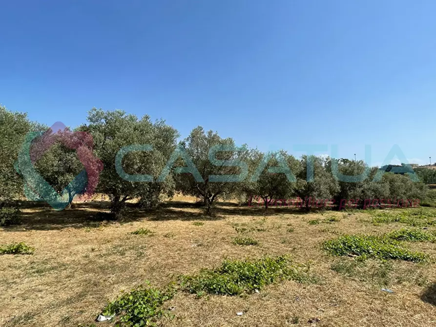Immagine 3 di Terreno agricolo in vendita  in Contrada Piomba 22 a Silvi