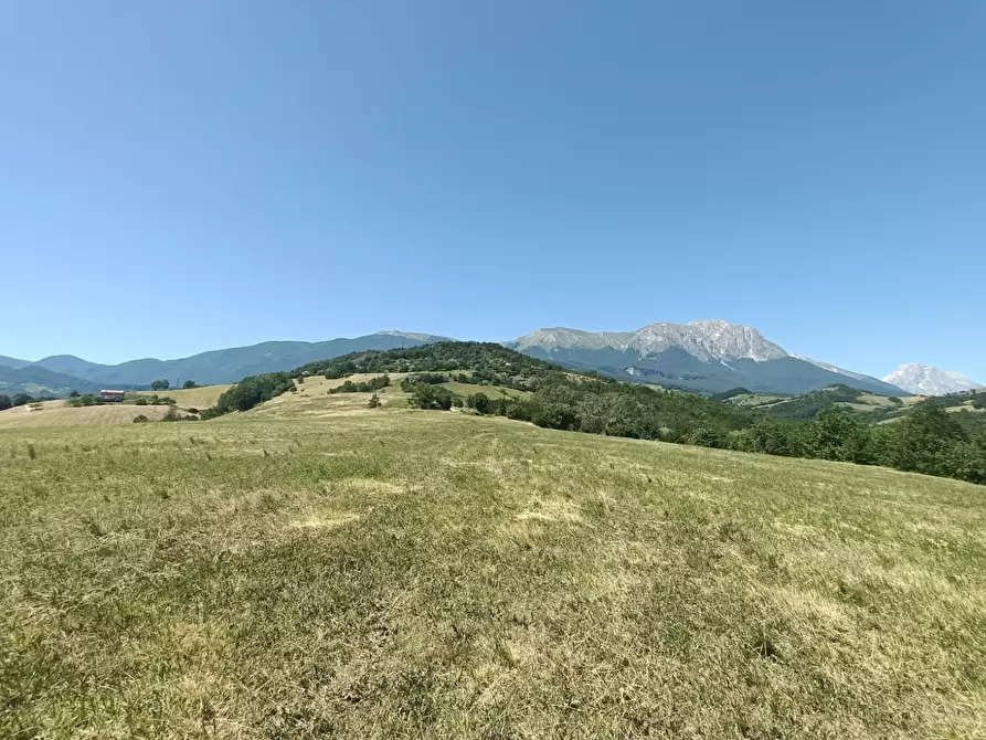 Immagine 18 di Terreno agricolo in vendita  a Farindola