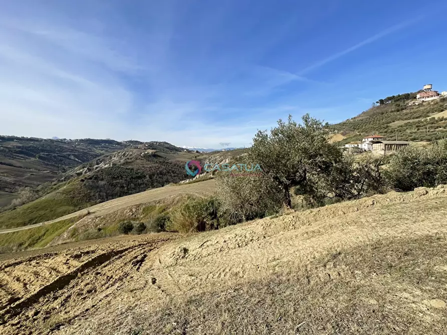 Immagine 42 di Trilocale in vendita  a Pineto