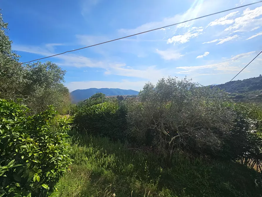 Immagine 38 di Villa in vendita  in Via dei Molini 202 a Sarzana