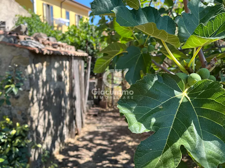 Immagine 25 di Casa indipendente in vendita  in Largo Gagliardi a Avigliano