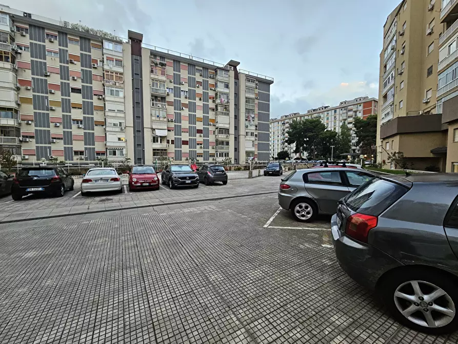 Immagine 29 di Attico in affitto  a Palermo