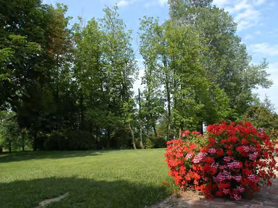 Immagine 55 di Casa indipendente in vendita  in Frazione Lavezzole 43 a San Damiano D'asti