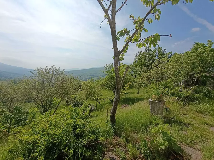 Immagine 11 di Casa indipendente in vendita  a Bore