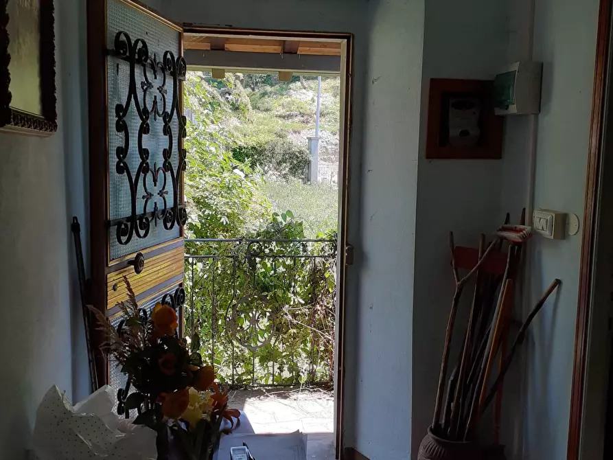 Immagine 16 di Terratetto in vendita  a Terenzo